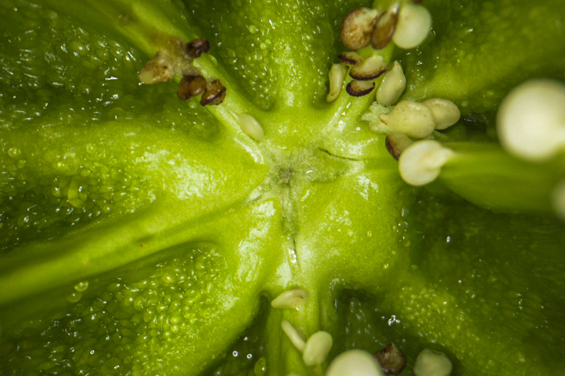 Sostenible, Menorca, 2024 - Cortometraje Atemporal Film Fest